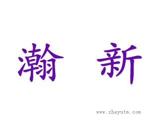 瀚新