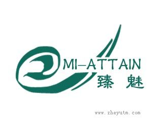 臻魅