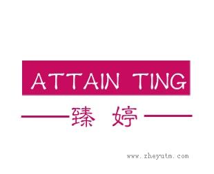 臻婷