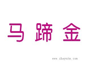 马蹄金