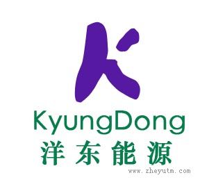 洋东能源