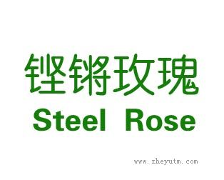 铿锵玫瑰