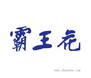 霸王花