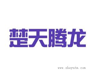 楚天腾龙