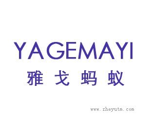 雅戈蚂蚁
