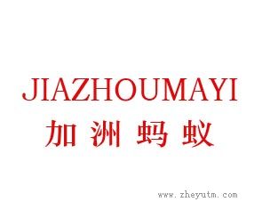 加洲蚂蚁