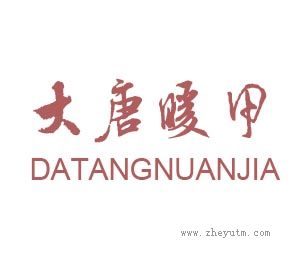 大唐暖甲