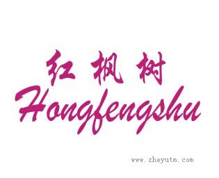 红枫树