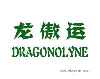 龙傲运
