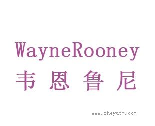 韦恩鲁尼-WAYNEROONEY