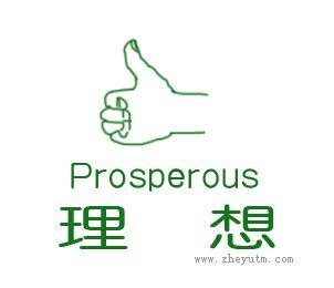 理想