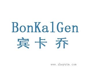 宾卡乔