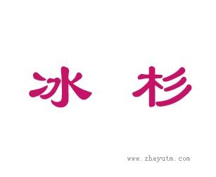 冰杉
