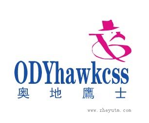 奥地鹰士