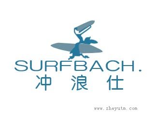 冲浪仕