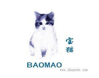 宝猫
