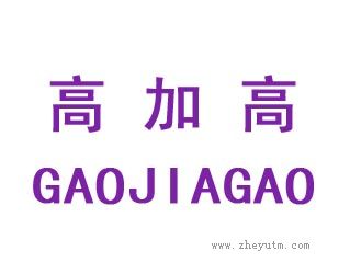 高加高