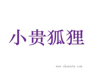 小贵狐狸