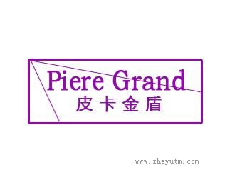 皮卡金盾