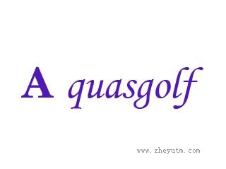 A quasgolf
