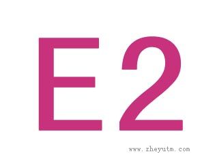 E2