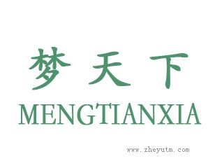 梦天下