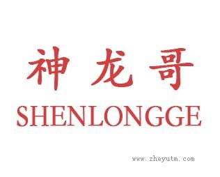 神龙哥