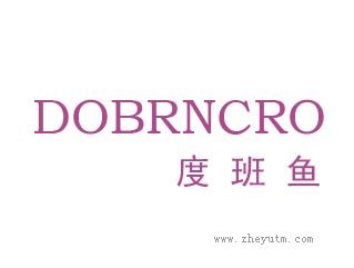 度班鱼