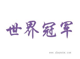 世界冠军