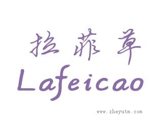 拉菲草