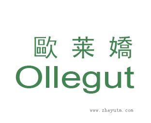 欧莱娇