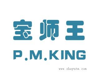 宝师王