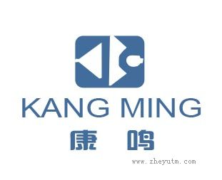 康鸣