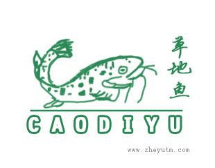 草地鱼