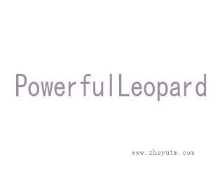 powerful Leopard