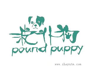 波仆狗