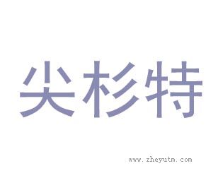 尖杉特