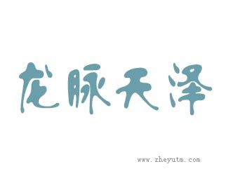 龙脉天泽