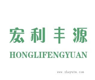 宏利丰源