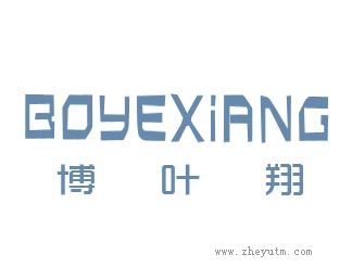 博叶翔