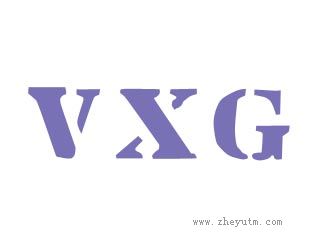 VXG