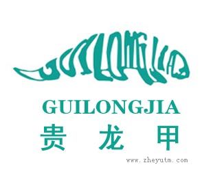 贵龙甲