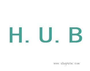 hub