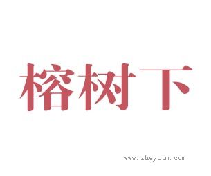 榕树下
