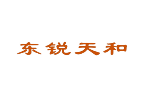 东锐天和