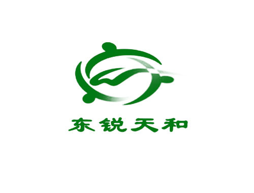 东锐天和