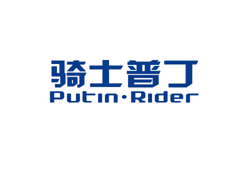 骑士普丁 PUTIN&middot;RIDER