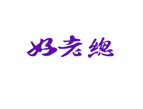 好老总