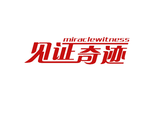 见证奇迹 MIRACLEWITNESS