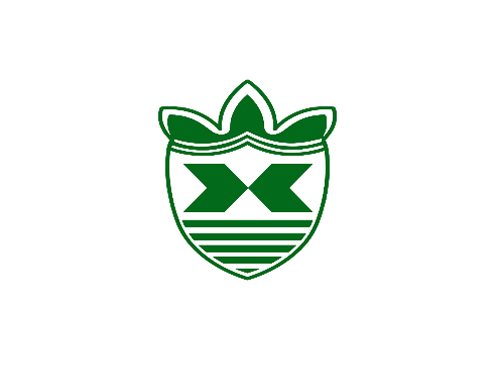 图形